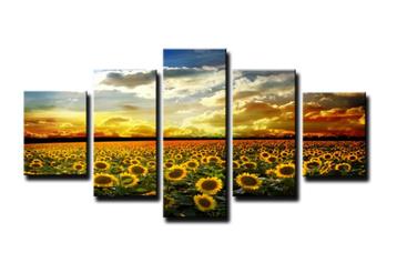 Nieuw * 5 Luik van Canvas * Zonnebloemen 80x160cm beschikbaar voor biedingen