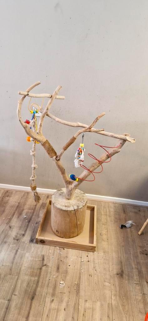 Javaboom (Groot), Dieren en Toebehoren, Vogels | Toebehoren, Speelgoed, Ophalen