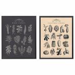 Ikea knöppang posters in lijst, Ophalen, Rechthoekig Staand, Met lijst, Zo goed als nieuw