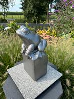 Tuinbeeld van een kikker, Tuin en Terras, Ophalen, Zo goed als nieuw, Overige materialen, Dierenbeeld