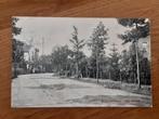 Helmond Wilhelminalaan, Verzamelen, Ansichtkaarten | Nederland, Ophalen of Verzenden, Voor 1920, Noord-Brabant