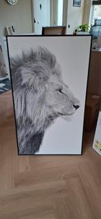 Schilderij leeuw, Ophalen, Gebruikt, Schilderij, 75 cm of meer