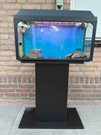 GRATIS, Ophalen, Gebruikt, Leeg aquarium