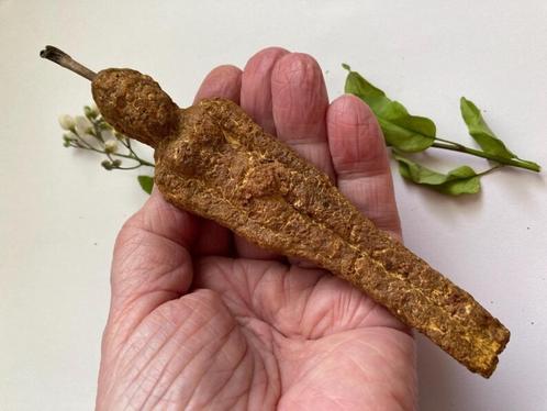 Zeldzame en mysterieuze Thaise Amulet Nareepol-boomvrucht, Antiek en Kunst, Curiosa en Brocante, Ophalen of Verzenden