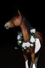Bloemenkrans voor Paarden, Dieren en Toebehoren, Ophalen of Verzenden, Nieuw, Overige soorten