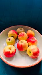 Jamie Oliver Schaal - Mintgroen - 30cm, Porselein of Keramiek, Schaal, Rond, Ophalen of Verzenden