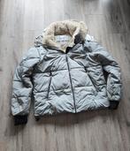 Giacomo The Jacket winterjas (Dames), Maat 42/44 (L), Nieuw, Ophalen of Verzenden, Grijs