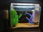Superfish home 40, Dieren en Toebehoren, Vissen | Aquaria en Toebehoren, Ophalen, Gebruikt, Gevuld zoetwateraquarium