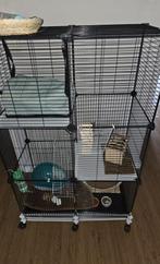 Chinchilla zoekt nieuwe baasje., Dieren en Toebehoren, 110 cm of meer, Ophalen of Verzenden, Zo goed als nieuw, 90 cm of meer