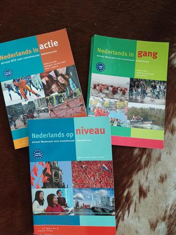 NT2 Boeken - Nederland in gang/actie/niveau beschikbaar voor biedingen