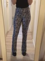 Flaired broek maat xxs/xs thunderfox, Zwart, Nieuw, Ophalen of Verzenden, Maat 34 (XS) of kleiner
