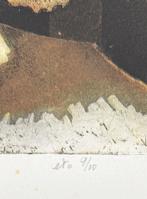 Ets Lucas van der Pol, "voor koningin en vaderland", Ophalen of Verzenden