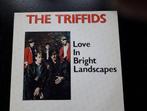 TRIFFIDS - LOVE IN BRIGHT LANDSCAPES - LP, Cd's en Dvd's, Verzenden, 1980 tot 2000, Zo goed als nieuw, Overige formaten