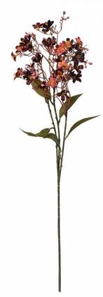 CLAYRE & EEF - KUNST - BLOEMETJES TAK, Ophalen of Verzenden, Nieuw