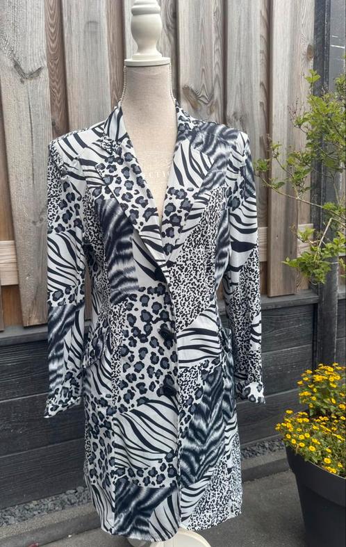 *My Pashion* Super gave lange Blazerjas mt L, Kleding | Dames, Jasjes, Kostuums en Pakken, Zo goed als nieuw, Jasje, Maat 42/44 (L)