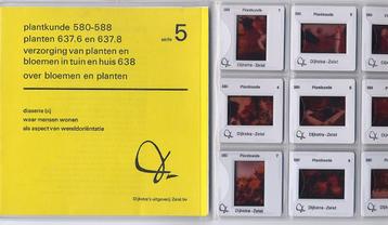 9 Dia's + boek Bloemen en planten - 1970 plantkunde School beschikbaar voor biedingen