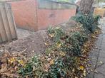 gratis zwarte grond, Ophalen, Tuinaarde