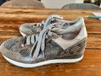 Chique leren dames sneakers van Gino b Ibiza kuki grey mt 38, Verzenden, Zo goed als nieuw, Grijs, Sneakers of Gympen