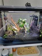 Aquarium superfish home 30, Dieren en Toebehoren, Ophalen, Zo goed als nieuw, Terrarium of Paludarium