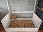 Grote caviakooi / caviahok Beeztees 1.20 met veel extra's, Ophalen, Kooi, 110 cm of meer, 60 tot 90 cm