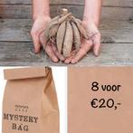 Mystery bag met dahlia knollen