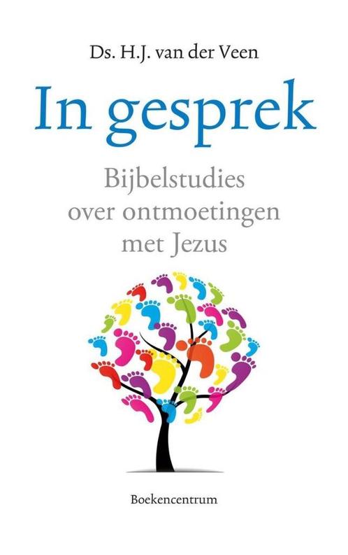 Bijbelstudies over ontmoetingen met Jezus-Ds.H.J.v.d. Veen**, Boeken, Godsdienst en Theologie, Zo goed als nieuw, Christendom | Katholiek