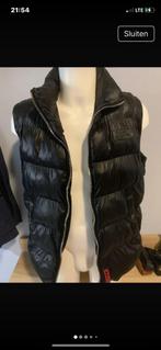 Expliciit studio’s bodywarmer, maat XL, Kleding | Heren, Explicit Studios, Zwart, Maat 56/58 (XL), Ophalen of Verzenden