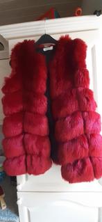 Body Warmer, Ophalen of Verzenden, Zo goed als nieuw, Rood