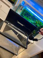 Aquarium set compleet, Ophalen, Zo goed als nieuw, Leeg aquarium