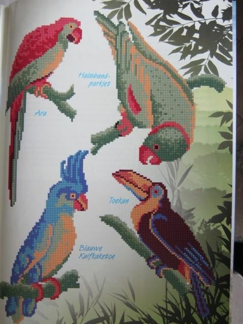 Borduurpatroon  Ara Tropische vogels  nr 5963, Verzenden, Nieuw, Handborduren, Patroon