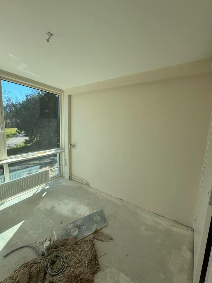 Pro Airless Latex Spuiten Benelux-tot feb 2026 10% korting!, Diensten en Vakmensen, Schilders en Behangers