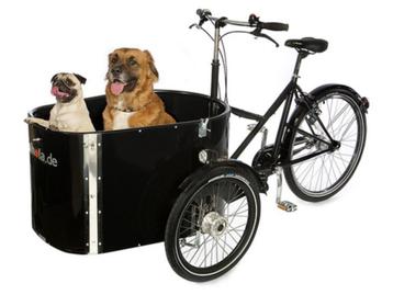 Bakfietsen voor de hond, kinderen of vracht Nu grote korting beschikbaar voor biedingen