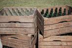 Brocante kratten met wijnflessen decoratie, Ophalen
