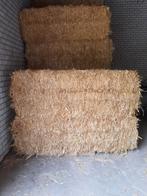 Grote balen stro te koop, Dieren en Toebehoren, Ophalen, Vee