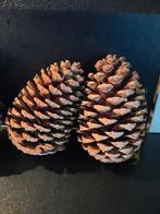 Grote dennenappels, Hobby en Vrije tijd, Knutselen, Ophalen of Verzenden, Zo goed als nieuw, Materiaal