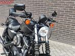 HARLEY-DAVIDSON SPORTSTER IRON 883 Harley Davidson harley883, Motoren, Motoren | Harley-Davidson, 2 cilinders, Bedrijf, 883 cc