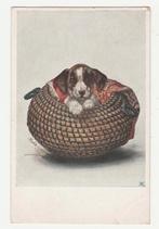 Honden.  Hondje in mandje.  Illustrateurs., Verzenden, 1920 tot 1940, Gelopen, Overige thema's