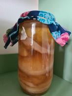 scoby, kombucha starter 🫖 beperkt aantal! 🫖, Ophalen