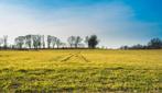 Gezocht: weiland te koop of te huur, Dieren en Toebehoren, Stalling en Weidegang