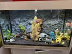 Compleet aquarium 1 m breed, Ophalen, Gebruikt, Gevuld zoetwateraquarium