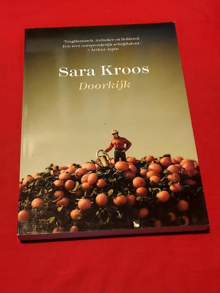 GESIGNEERD Doorkijk. Sara Kroos. In hele mooie staat., Boeken, Ophalen of Verzenden, Zo goed als nieuw