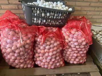 Golfballen 6000st beschikbaar voor biedingen