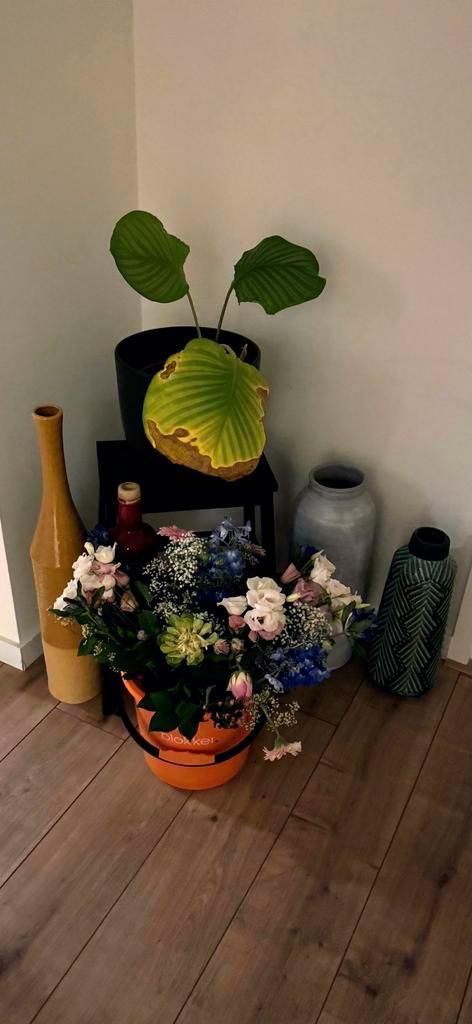 4 stuks diverse vazen, Huis en Inrichting, Woonaccessoires | Vazen, Gebruikt, Overige kleuren, Minder dan 50 cm, Overige materialen