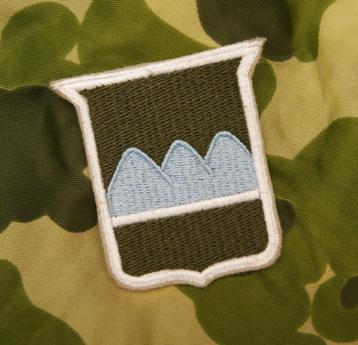 Patch - Embleem US Army 80th Inf Div beschikbaar voor biedingen