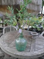 olijftakken niet van echt te onderscheiden, Ophalen of Verzenden, Nieuw, Binnen