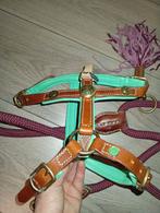 Dog with a mission tuig met touw, Ophalen of Verzenden