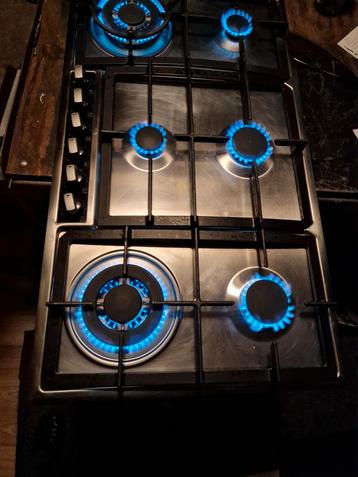 Siemens gaskookplaat 2 x Wok op Butaan Propaan Gasfles  beschikbaar voor biedingen