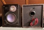 Philips speaker systeem, Ophalen of Verzenden, Zo goed als nieuw, Front, Rear of Stereo speakers, Philips