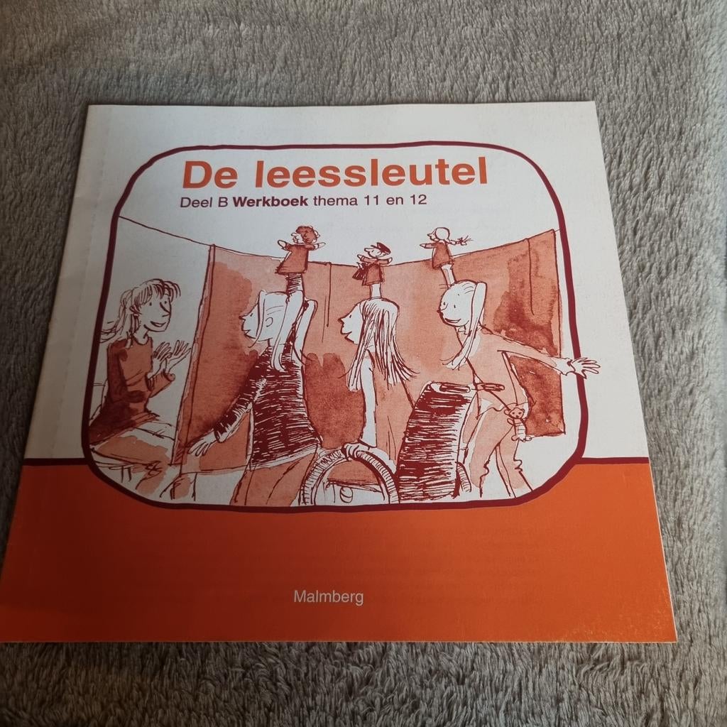 Groep 3 - De Leessleutel Deel B Werkboek Thema 11 en 12, Ophalen of Verzenden, Zo goed als nieuw, Malmberg