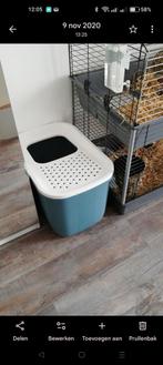 Kattenbak of Zandbak konijn, Ophalen